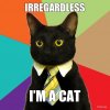 irregardless-im-a-cat.jpg