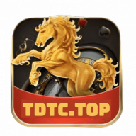 tdtcpro2023