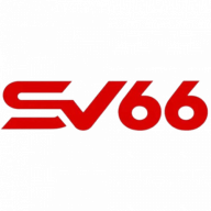 sv66voto