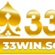 33winsoftware