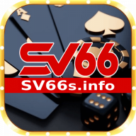 sv66sinfo