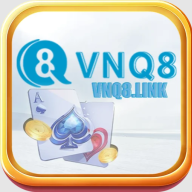 vnq8link