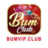 bumvipnet