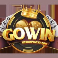 gowinplusitcom